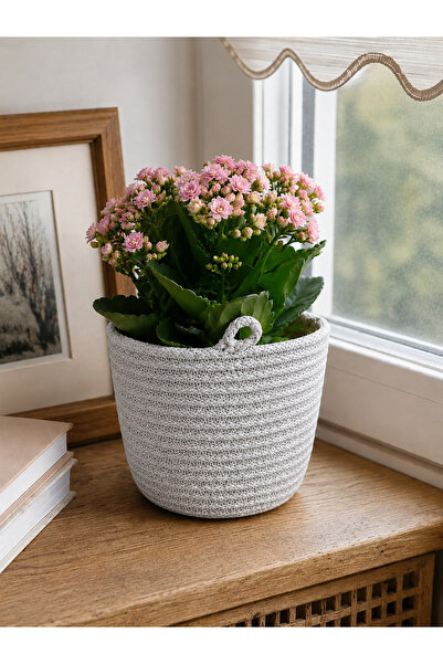 ÖRGÜM Coș decorativ pentru ghiveci 15x15 cm
