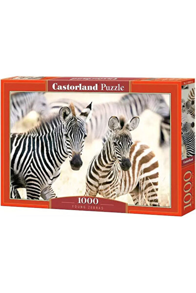 Castorland Puzzle cu 1000 de piese Giovani Zebre Cod: GXP-892180
