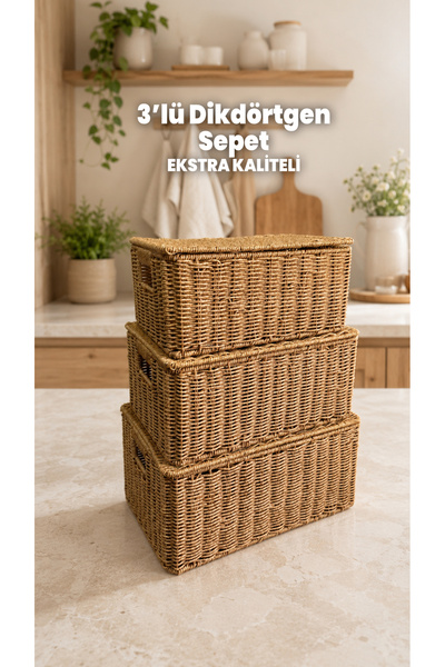 Destpak 3-Piece Rectangular Organizer Wicker Rattan Extra Quality Steel - Rec...