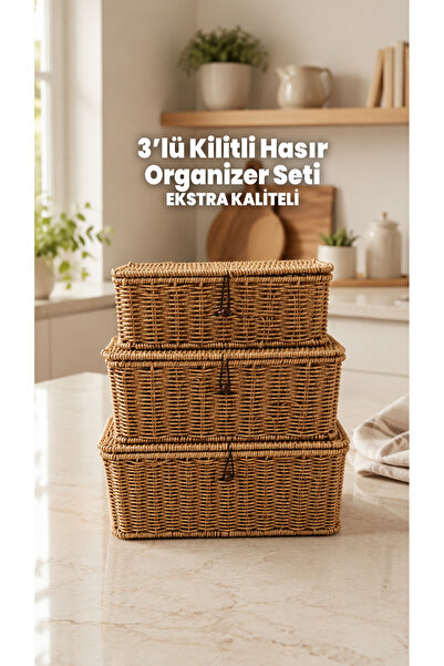 Destpak 3 Pieces of Wicker Desktop Organizer - Wicker Rattan Basket - Steel W...