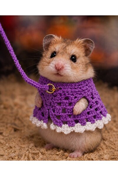 Berliva Home Hamster Örgü Elbise - Gezdirme Tasmall Kemirgen Kiyafeti Mor