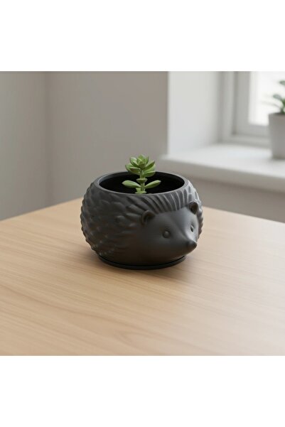 OEM Mini Ghiveci Decorativ Arici Imprimat 3D, Suport Plante Mici