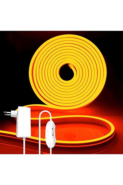 festive 12V LED Neon Rope light,16.4ft/5M for Kitchen Bedroom Indoor Outdoor ...