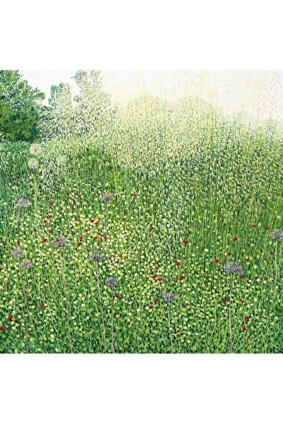 OEM Carnet cu plic "Trawy Harlow Carr" Susan Entwistle, 155×159 mm
