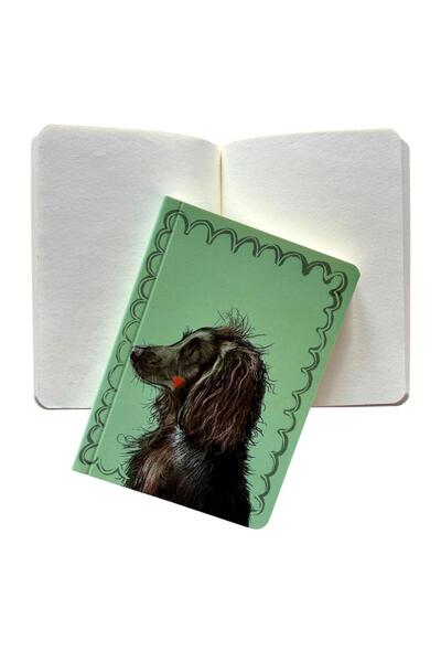 Alex Clark Notes/Caiet Sprout, coperta moale, 80 pagini netede, Multicolor