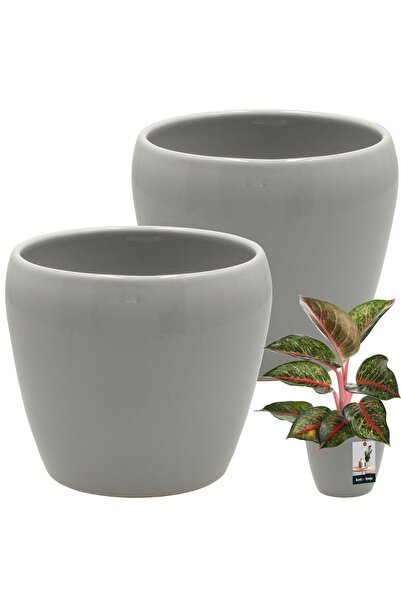 KOTARBAU 2 buc. Ghiveci ceramic glazurat gri de 12 cm pentru flori și ierburi...