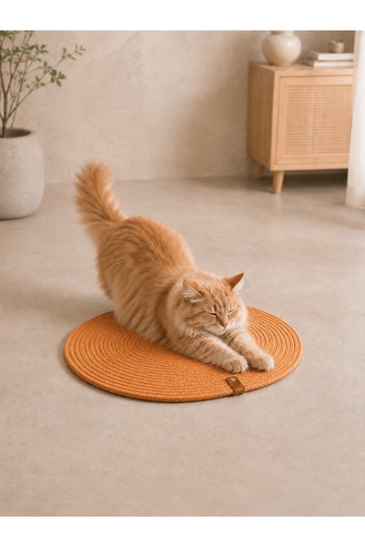 Generic Brand Orange Color Cat Scratching Mat and Bed / Multi-Purpose Use / Cat Mat