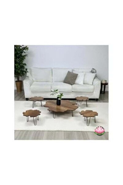 Bareeq Al Ostoura Coffee Table Floor Set, Brown Wood Top