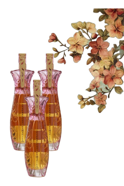 Reyane Tradition 3 Pieces Insurrection Ladies Perfume 100ML