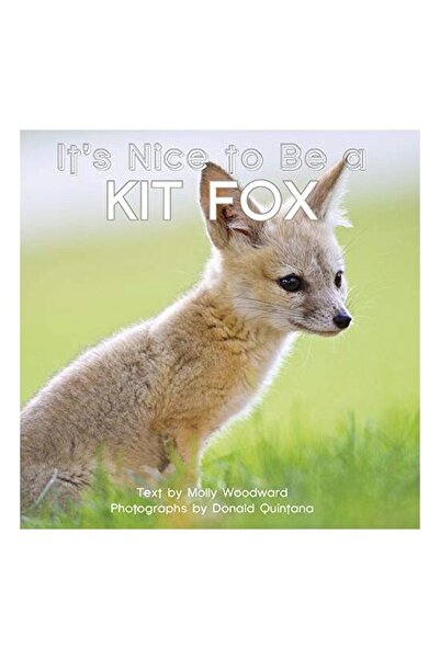 Kyle Books It's Nice to Be a Kit Fox