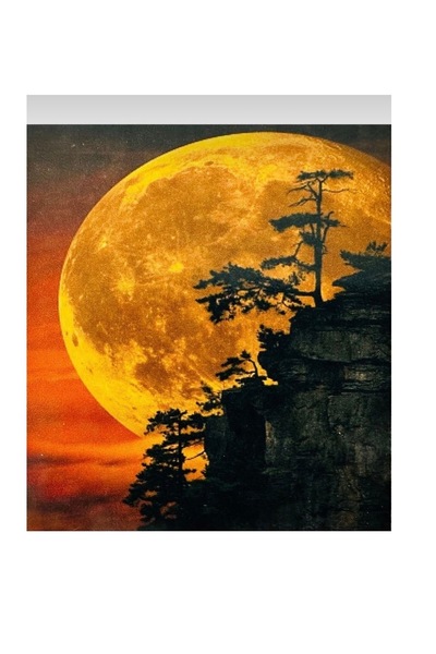 CN 50x40cm Hı Stone 5d Elmas Boncuk Taş Işleme Mozaik Goblen Kit