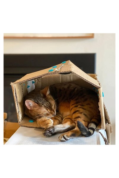 Makedo Create, set de construcție din carton, 260 piese