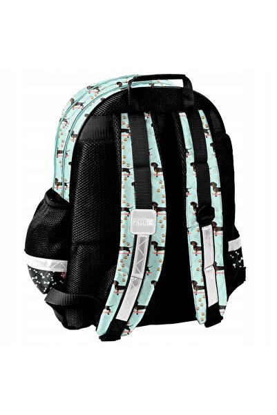 NO BRAND Rucsac școlar cu multiple compartimente Paso Roz, Multicolor 19 L