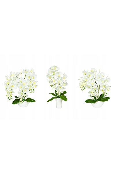 NO BRAND Orhidee Phalaenopsis artificială cu atingere reală, roz, 60 cm, în g...