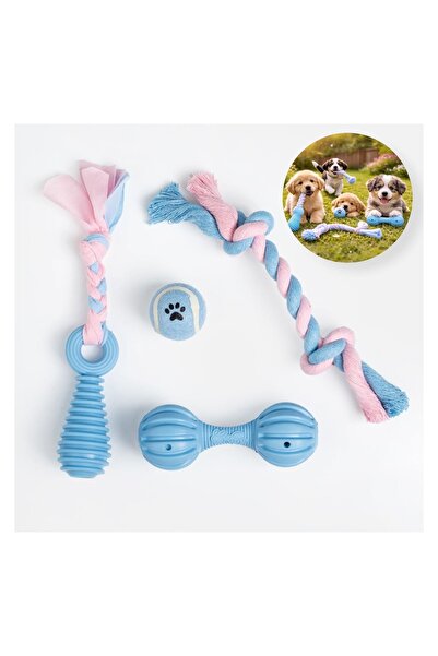 OEM Set Jucării pentru Catel, set 4 buc