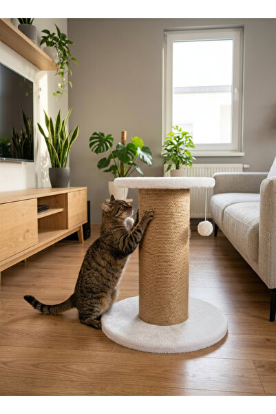 PETiTOYS Mega Çap Kedi Tırmalama Tahtası Catnipli