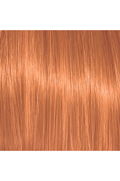 PC PLASMA Color Action No 8.44
