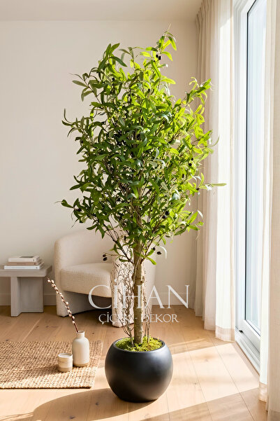 Cihan Çiçekçilik 180 cm Lüks Yapay Zeytin Ağacı - 27x33 cm Plastik Küre Saksı