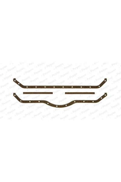 PAYEN Set Garnituri, Baie Ulei Jj464 Fap B-Series Mercedes-Benz Agl/Fpn/Hpn/L...