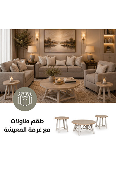 Ashley Furniture طقم أريكة بادوفا لينديبورو مع طاولة جانبية فاونديل مجانية (3...