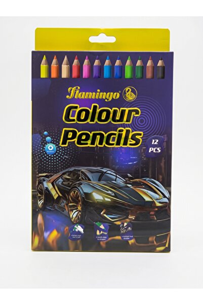 Flamingo Colour Pencils | Pack of 12 Pcs