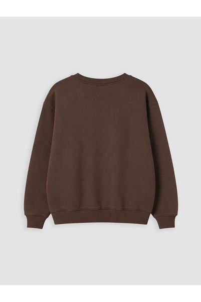 LC Waikiki RMZ GİYİM FARKIYLA سويت شيرت سميك مطبوع للأولاد