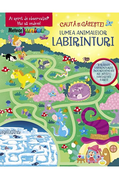 Meteor Press Labirinturi. Lumea animalelor