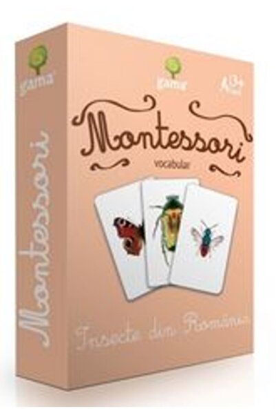 Gama Montessori. Vocabular: Insecte din Romania
