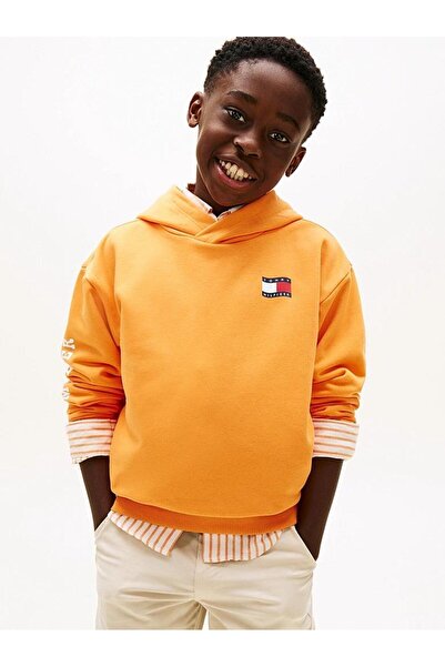 Tommy Hilfiger WAVY FLAG HOODIE