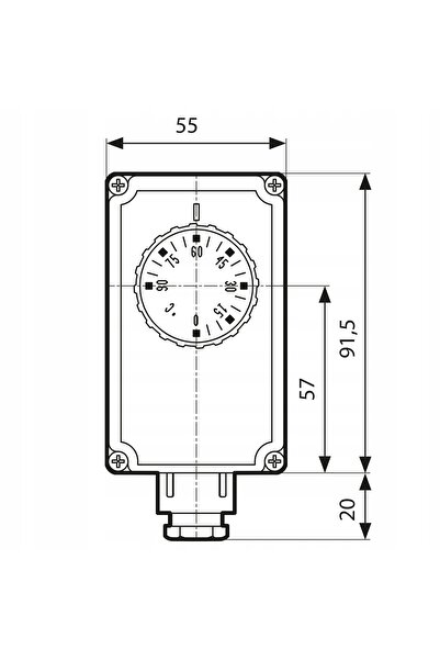 NO BRAND Termostat cu tub capilar de 100 mm lungime Afriso 0-90 grade