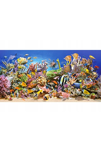 NO BRAND PUZZLE 4000 PUZZLE RAFA CORAL ANIMALE MARINE PEȘTI