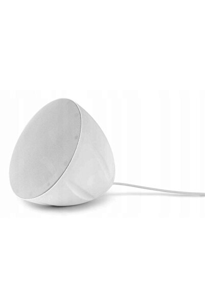 NO BRAND 1 buc. Difuzor suspendat de tavan 40W 100V pentru biserică