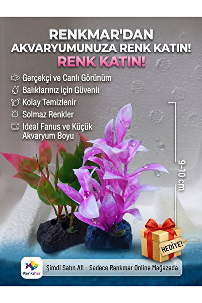 renkmar Akvaryum Süsü hediye Seti 9-10 cm Dekoratif Yapay Bitki ve Fanus Akva...