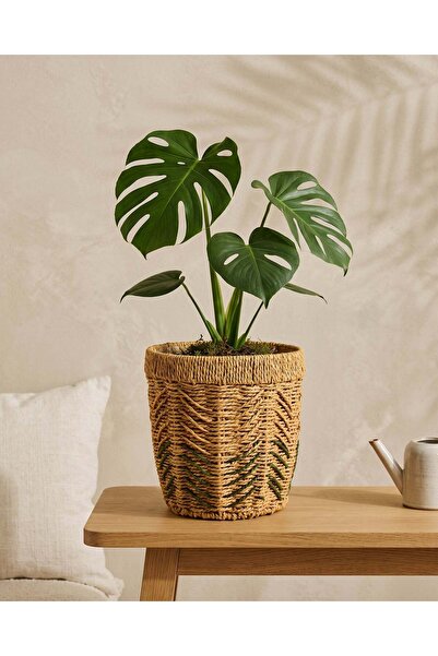 REDTAG Beige Paper Rope Woven Planter With Plastic Liner Large