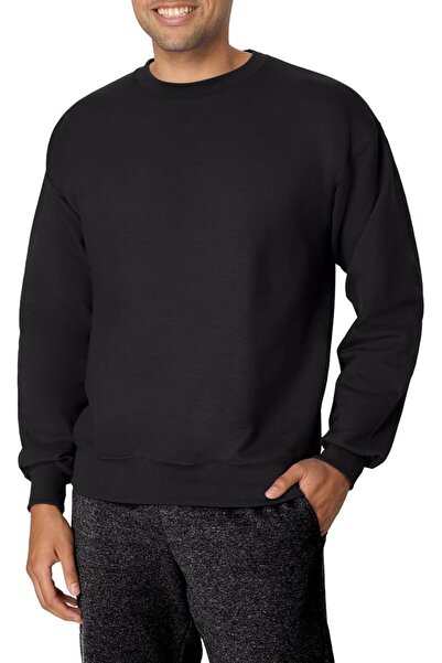 HANES mens Men's Ecosmart Fleece Sweatshirt Hooded Sweatshirt (pack of 1)