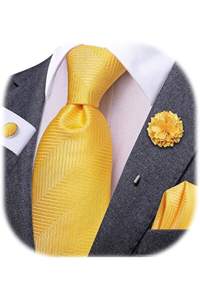Dubulle Mens Paisely Silk Tie for Men Necktie and Pocket Square Set