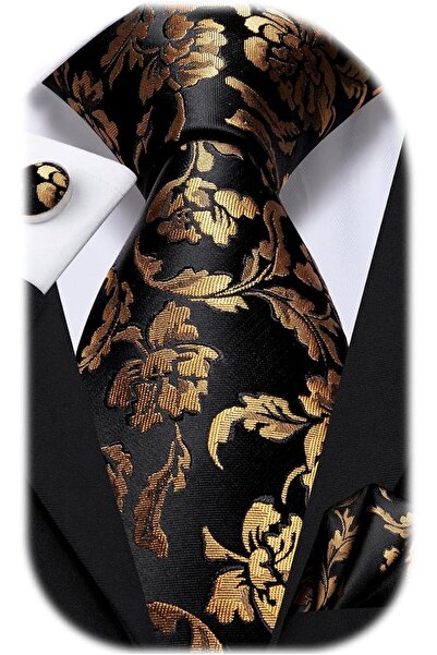 Dubulle Mens Paisely Silk Tie for Men Necktie and Pocket Square Set