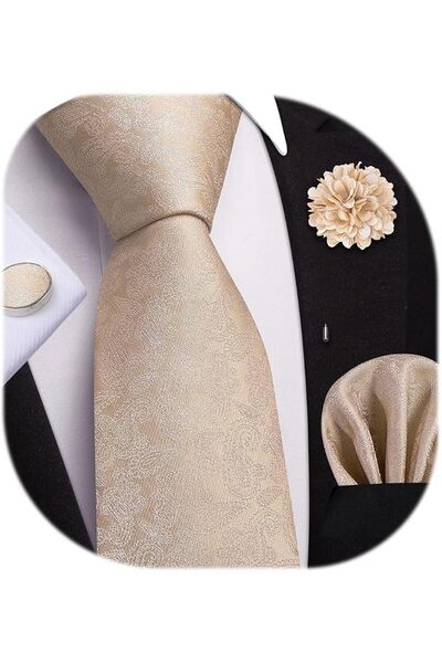 Dubulle Mens Paisely Silk Tie for Men Necktie and Pocket Square Set