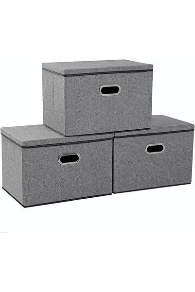 GENERAL 3 Pcs Collapsible Storage Boxes with Lids, Fabric Foldable Storage Bi...