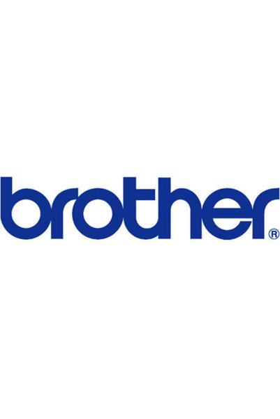 Brother Αυτοκόλλητα Ρολά Ετικετών 1 τεμάχιο