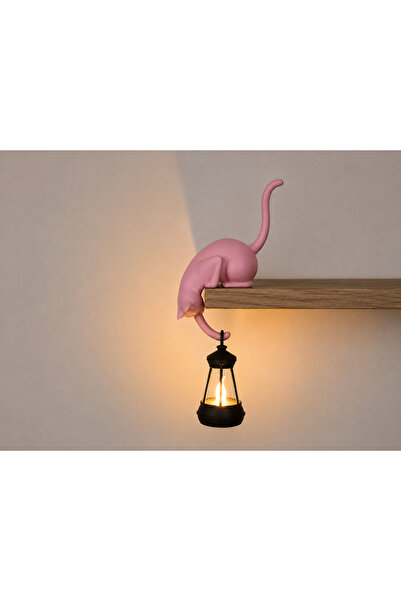 Decorius Askılı Kedi Raf Dekoru 24 cm - LED Fenerli Minimalist Salon & Balkon...