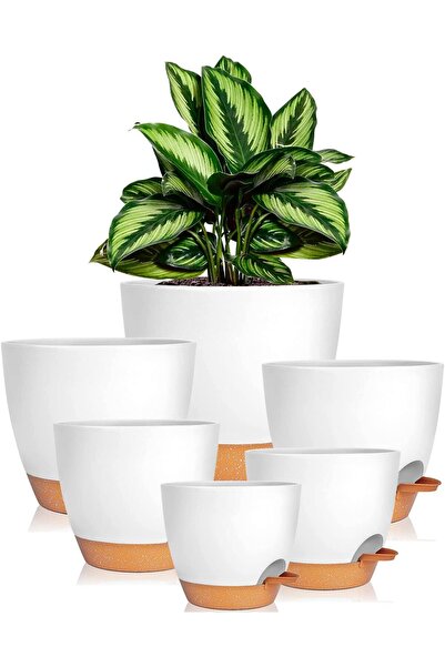 OtherMax Set de 6 Ghivece Autoudătoare Pentru Plante Aromatice și Flori, Dime...