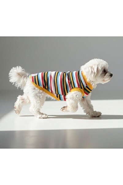 MİNİŞ PET BUTİK Mini striped fine knit small breed dog sweater