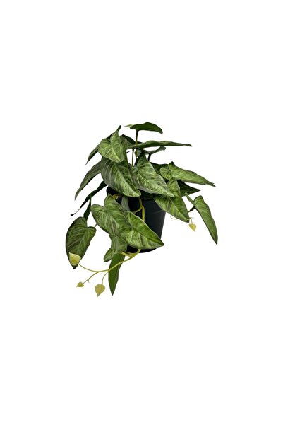 B&D Artificial Plant – Decorative Faux Greenery for Home, Office & Interior D...