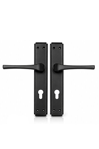 Generic Matte Black Door Handle Set with Long Backplate, Modern Interior Door...