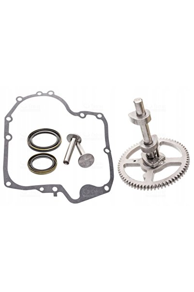 Briggs&Stratton PENTRU BRIGGS 10.5-19 ARBORE CU CAME 793583 790400 793880 INE...