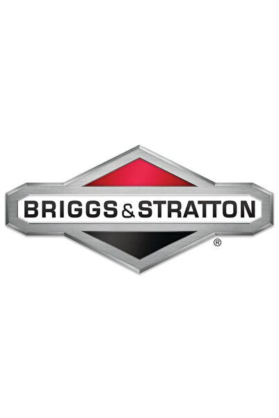 Briggs&Stratton Încărcător de baterii Instart IS