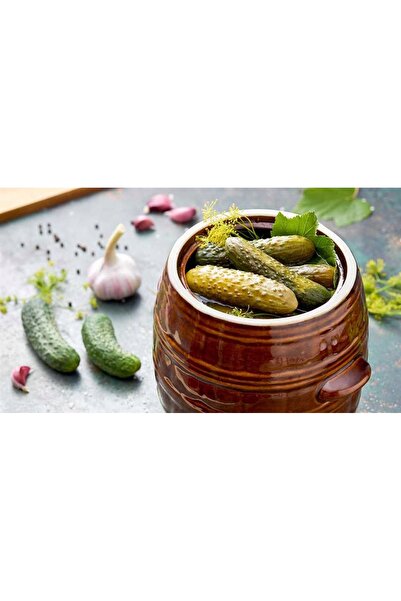 NO BRAND BUTUIEC CU CAPAC DIN GRESIE PENTRU CASTRAVEȚI DE MURAT TRAGAR 5 L, C...