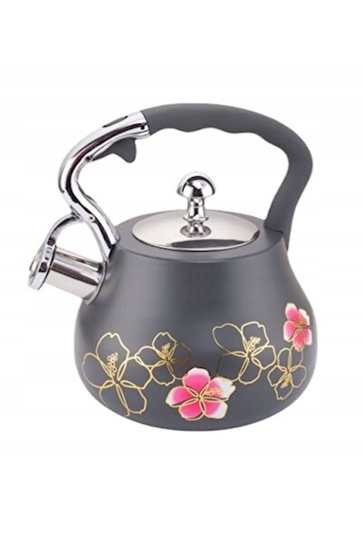 NO BRAND CEAINIC DIN OȚEL TRADIȚIONAL cu fluier 3 L INDUCȚIE GAZ EB - 8842 gri