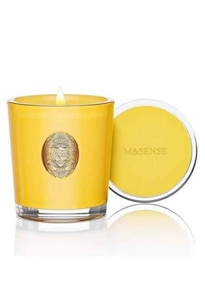 Generic Brand M&SENSE Colored 10.2 oz Soy Wax Candle | Sugared Lemon Zest Sce...